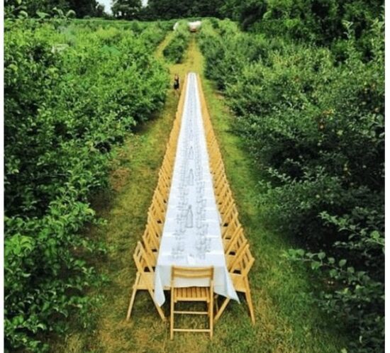 Long dining table in a vineyard clearing.