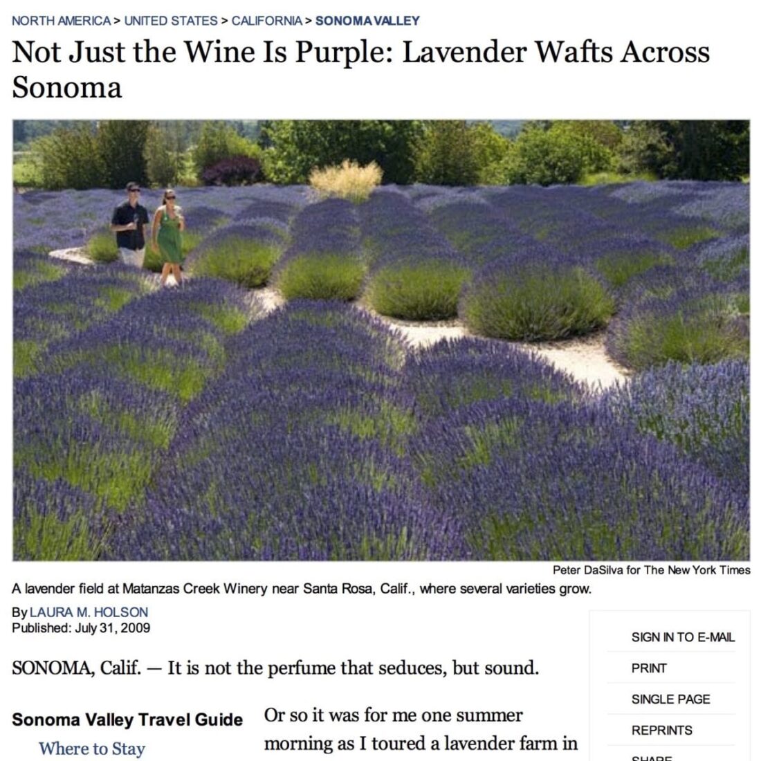New York Times article. Headline Text: Not Just the Wine is Purple; Lavender Wafts Across Sonoma.