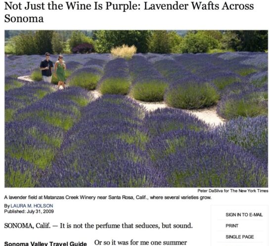 New York Times article. Headline Text: Not Just the Wine is Purple; Lavender Wafts Across Sonoma.