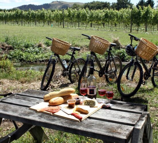 Wine Country bikes near vineyard and picnic table with food.
