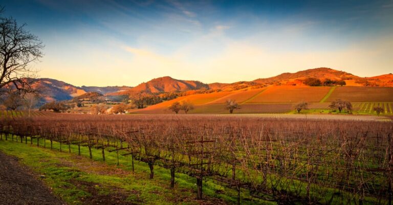 Things to Do in Sonoma County This Winter | El Dorado ...