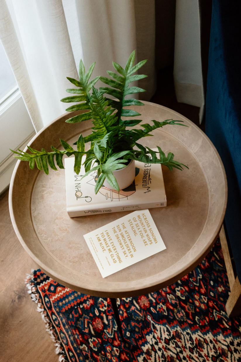 Table by a window with a book and a plant